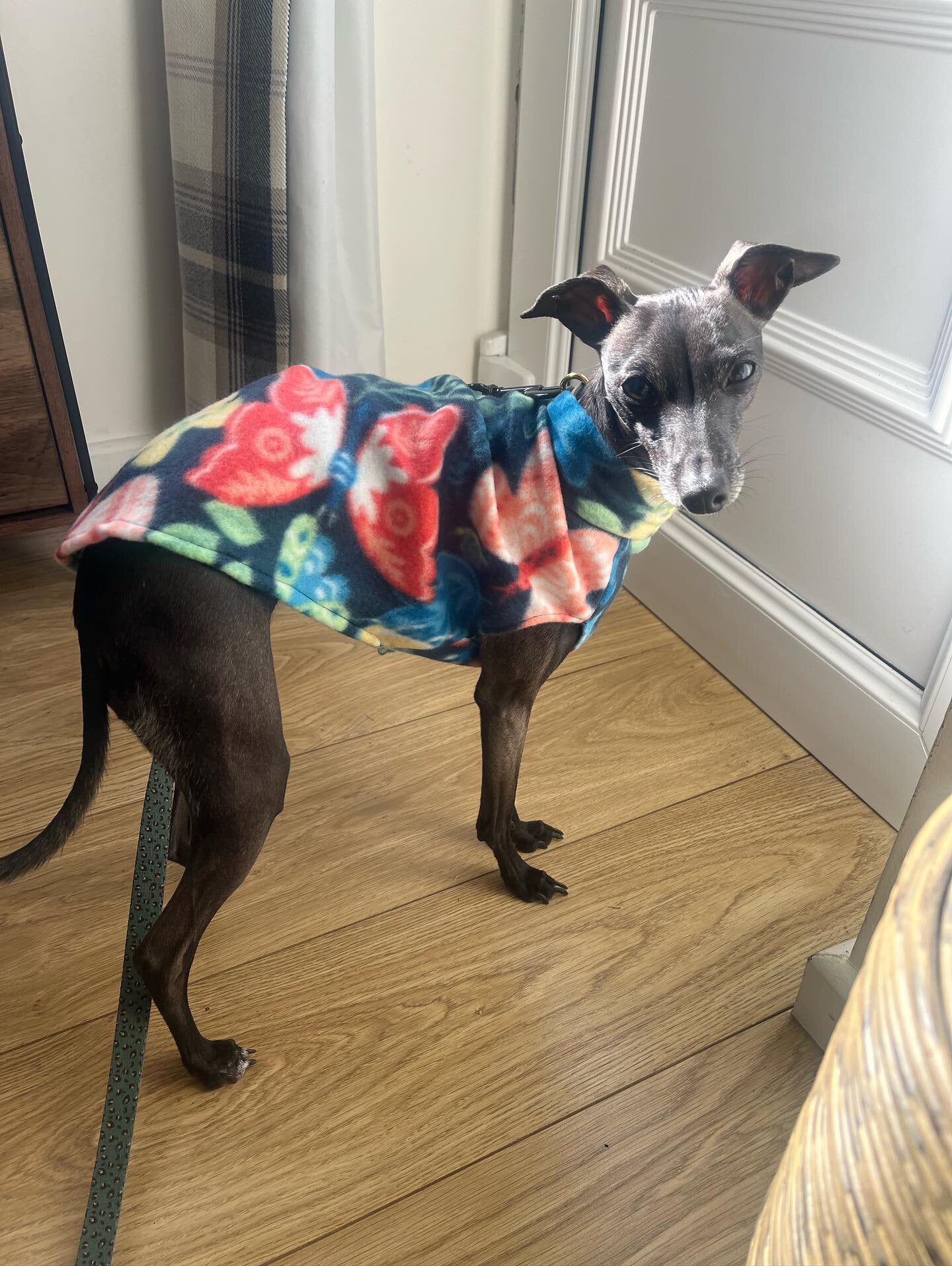 Fleece Vest - Butterfly Garden