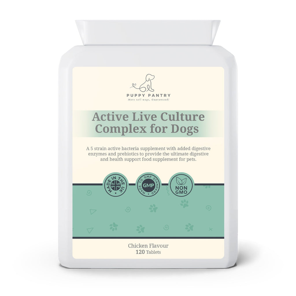 Gut Health Tablets for Dogs – Chicken (120 Pack) With probiotics, prebiotics & enzymes