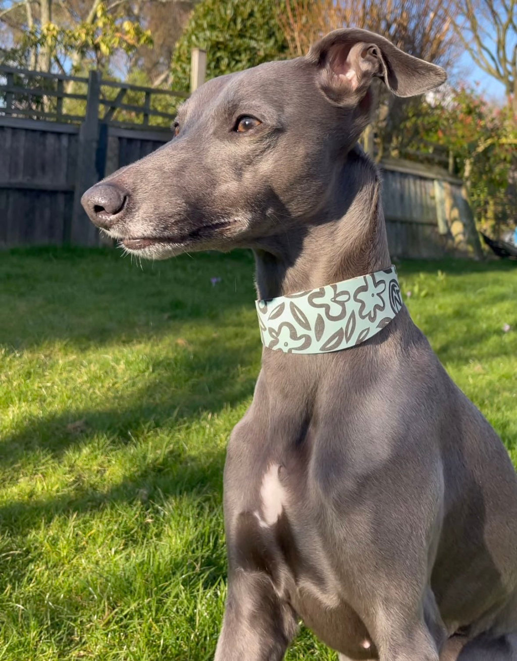 Leather Collar - Botanical