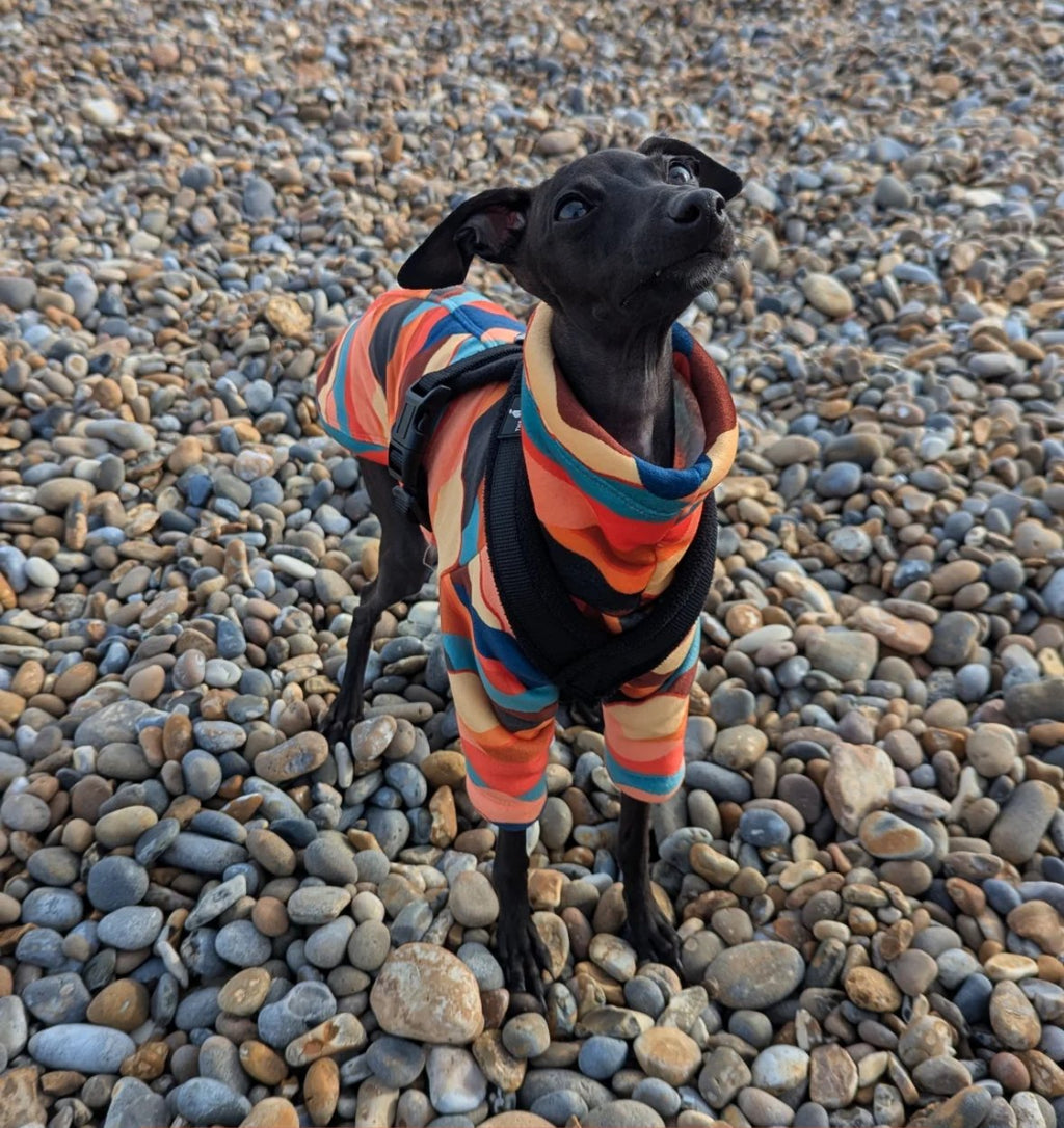 Sherpa Lined Fleece Puppy Jumper - Mountains