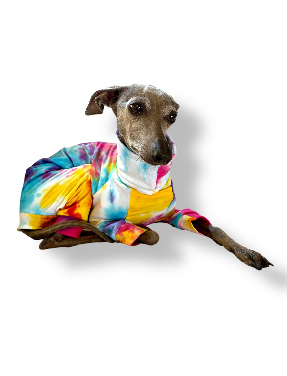 Jersey Suit - Rainbow Tie Dye