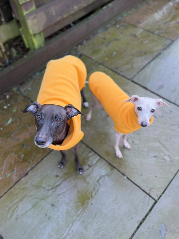 Open-Leg Fleece Vest - Black & Aqua