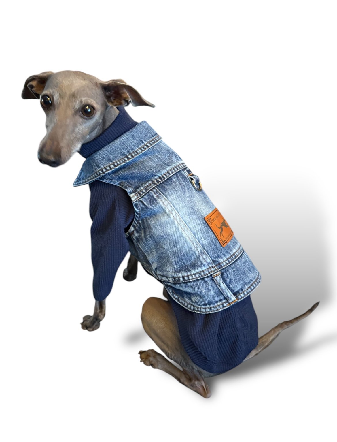 Denim Jacket - Cool Iggy Club