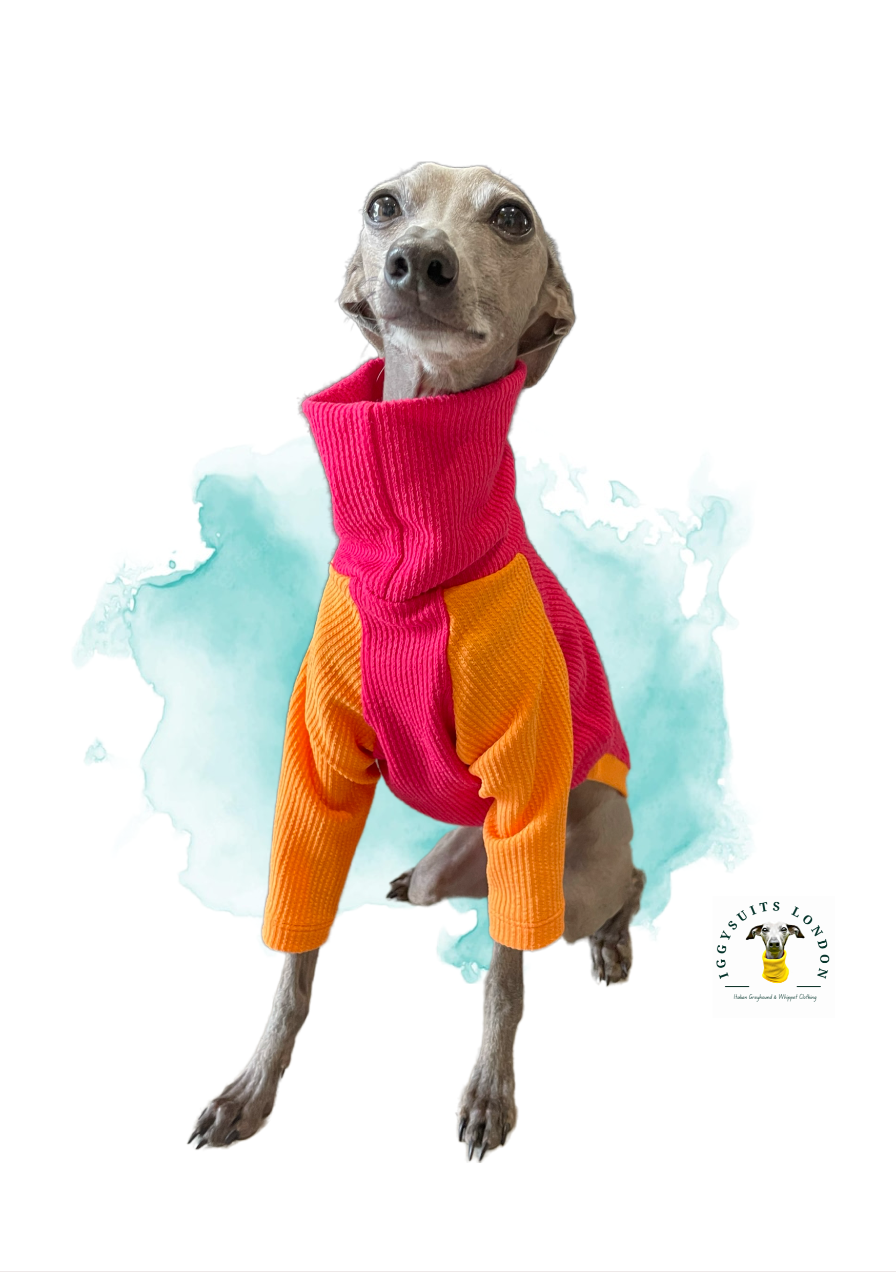 Dog wearing a colorful sweater with a watercolor background