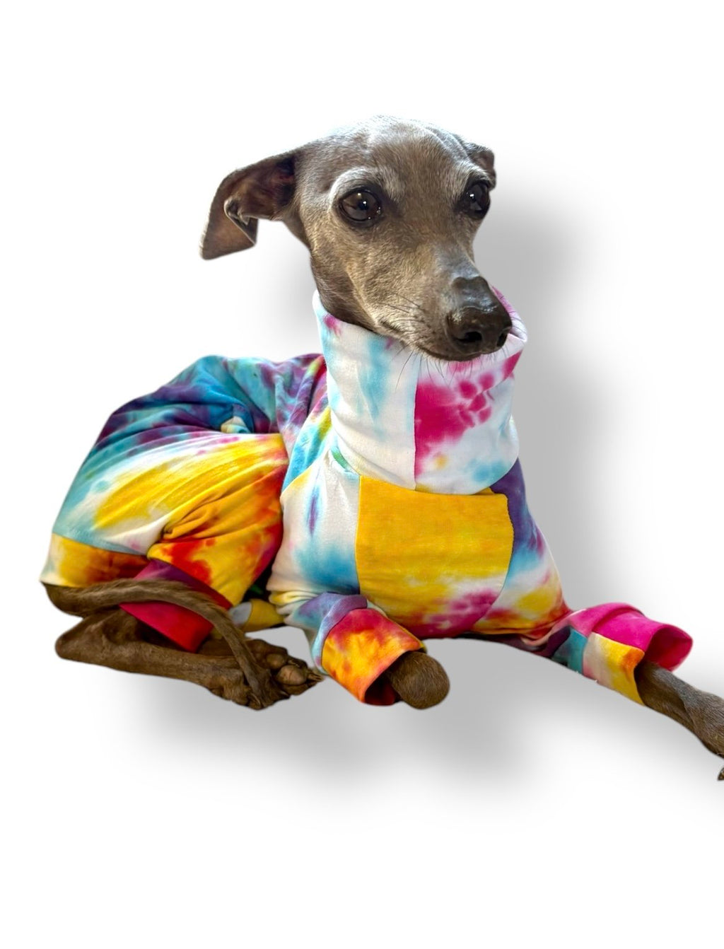 Jersey Suit - Rainbow Tie Dye