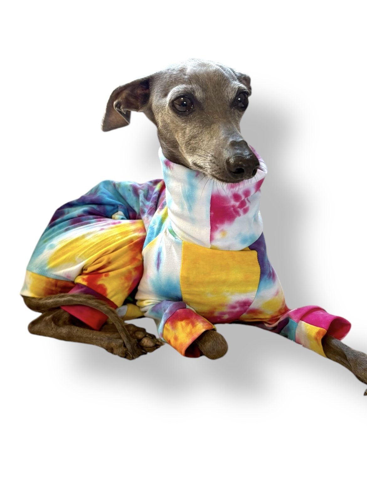 Jersey Suit - Rainbow Tie Dye