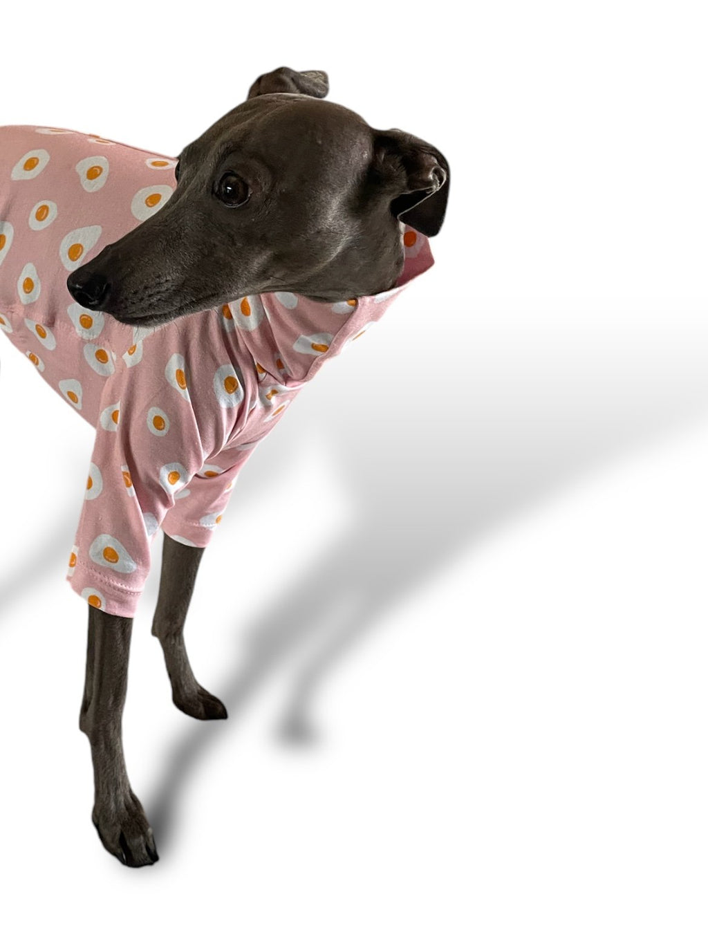 Dog wearing a pink outfit with white patterns on a white background