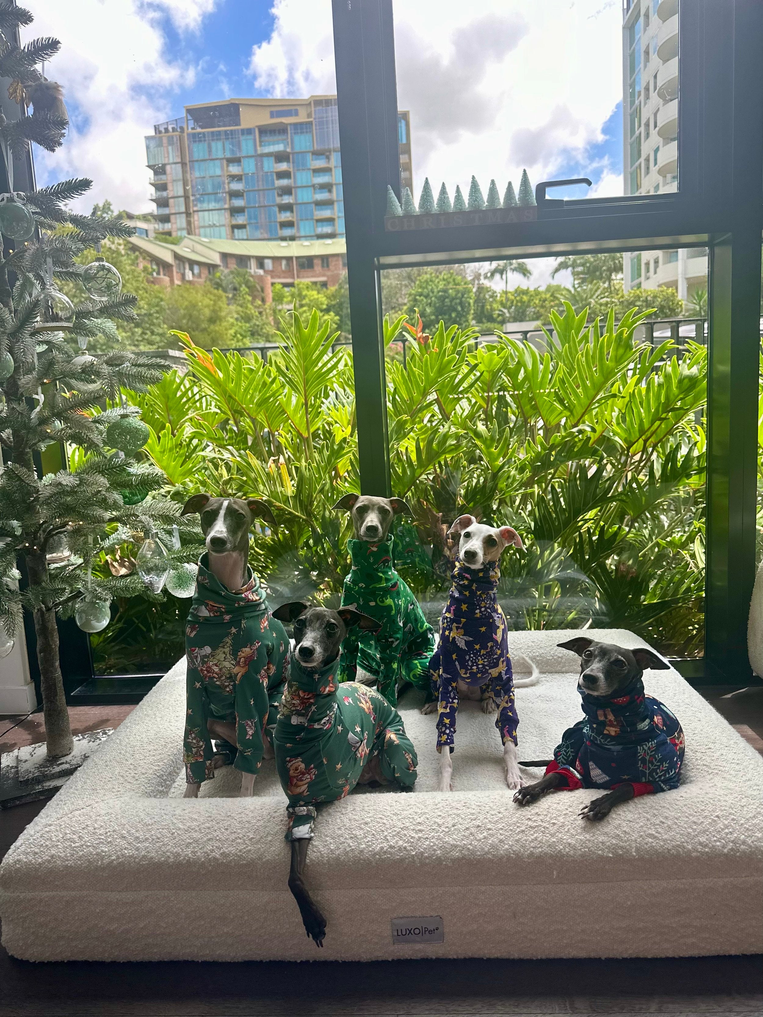 Christmas Jersey Suit - Divine Angels