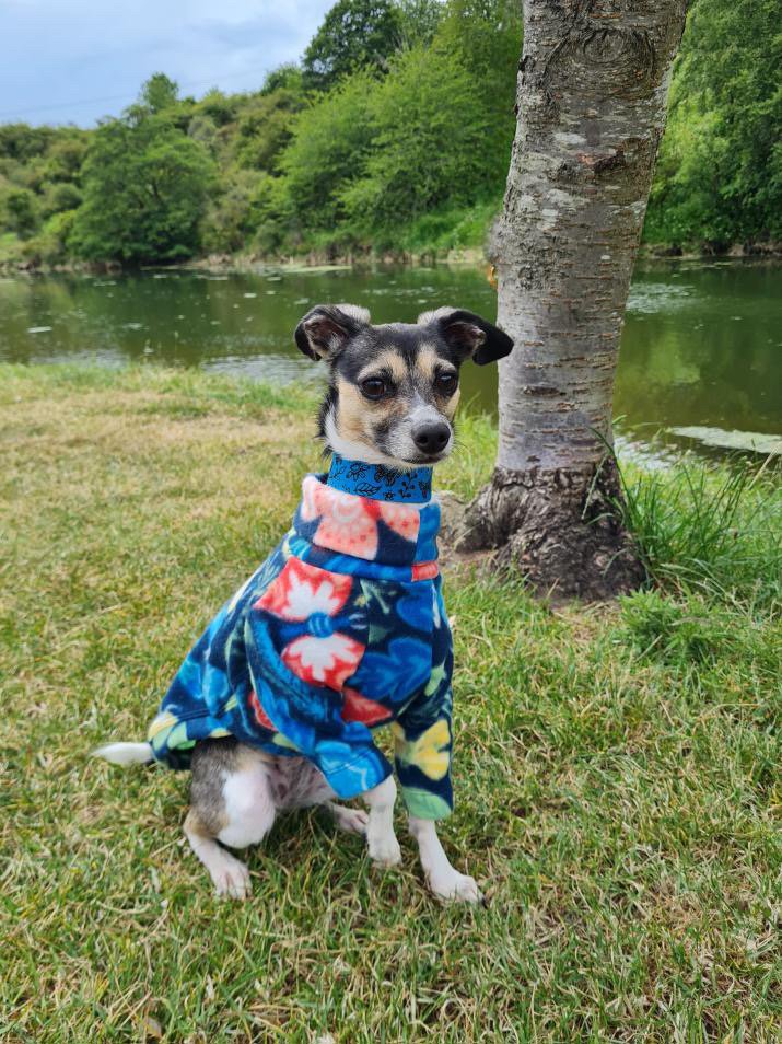 Fleece Jumper - Butterflys