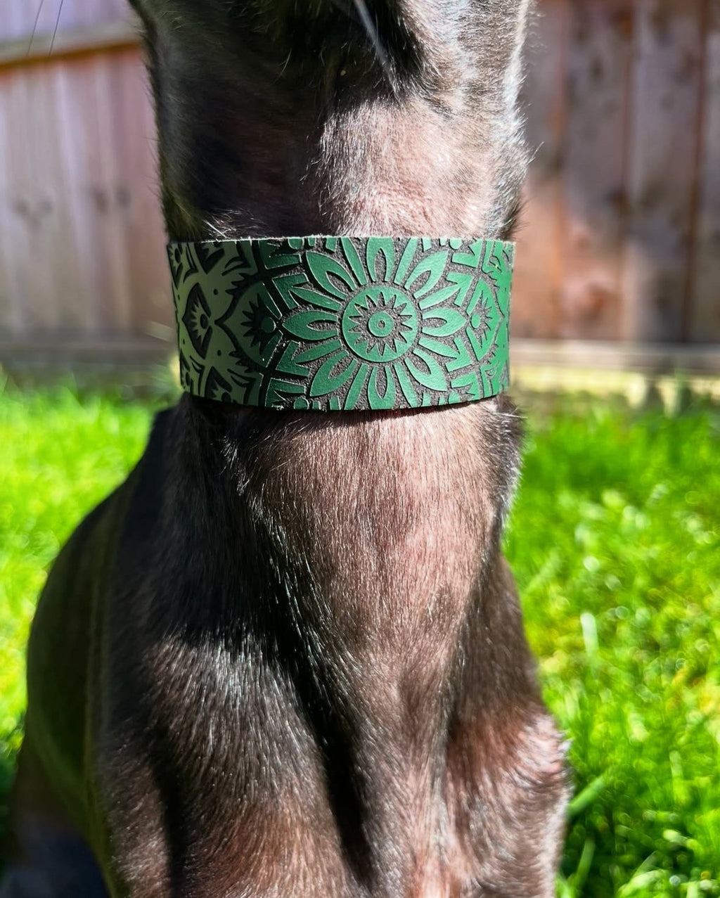 Leather Collar - Mandala