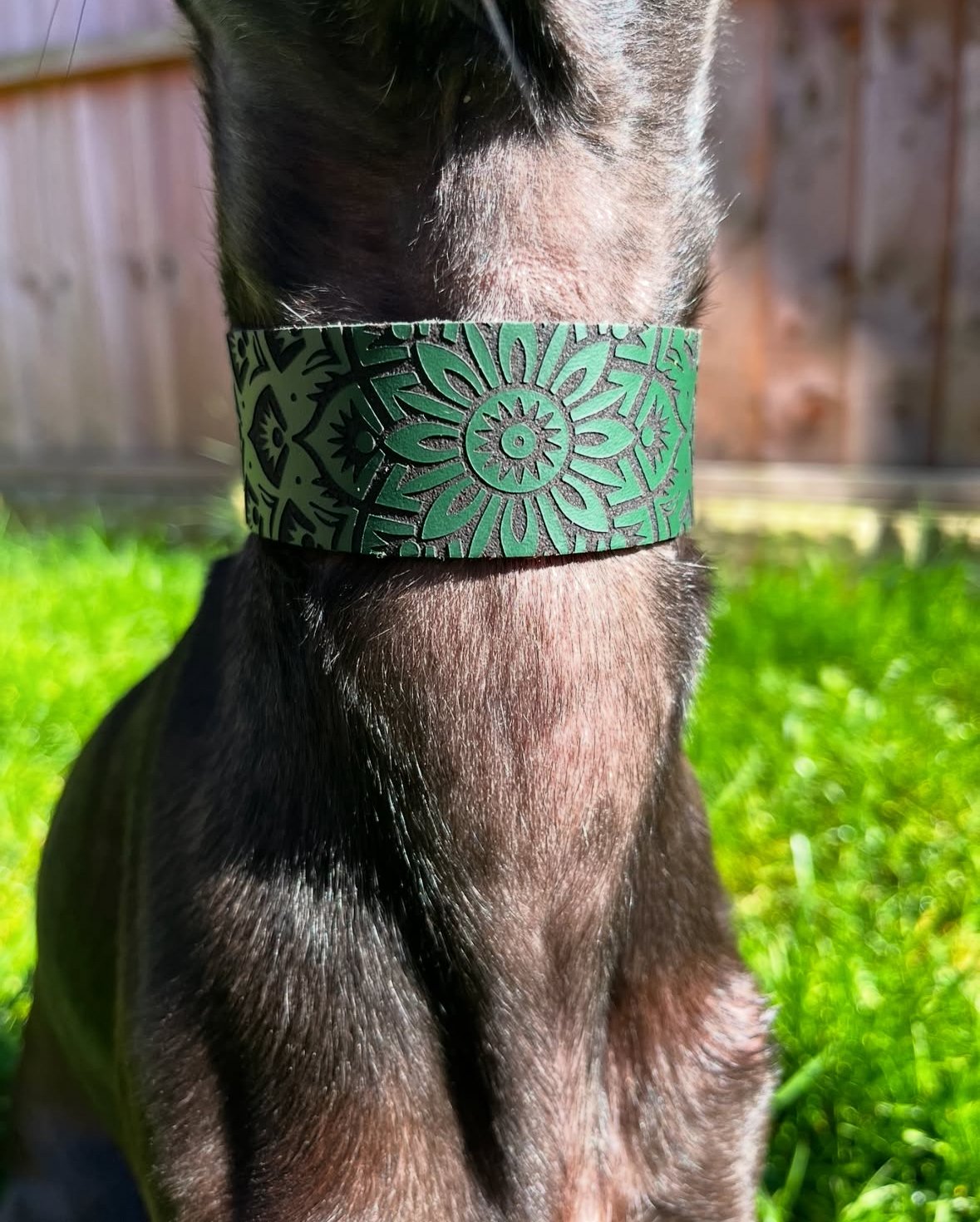 Leather Collar - Mandala