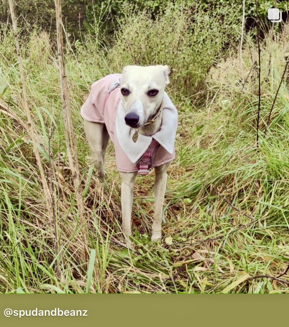 Rain Mac - Blush Pink Submarines