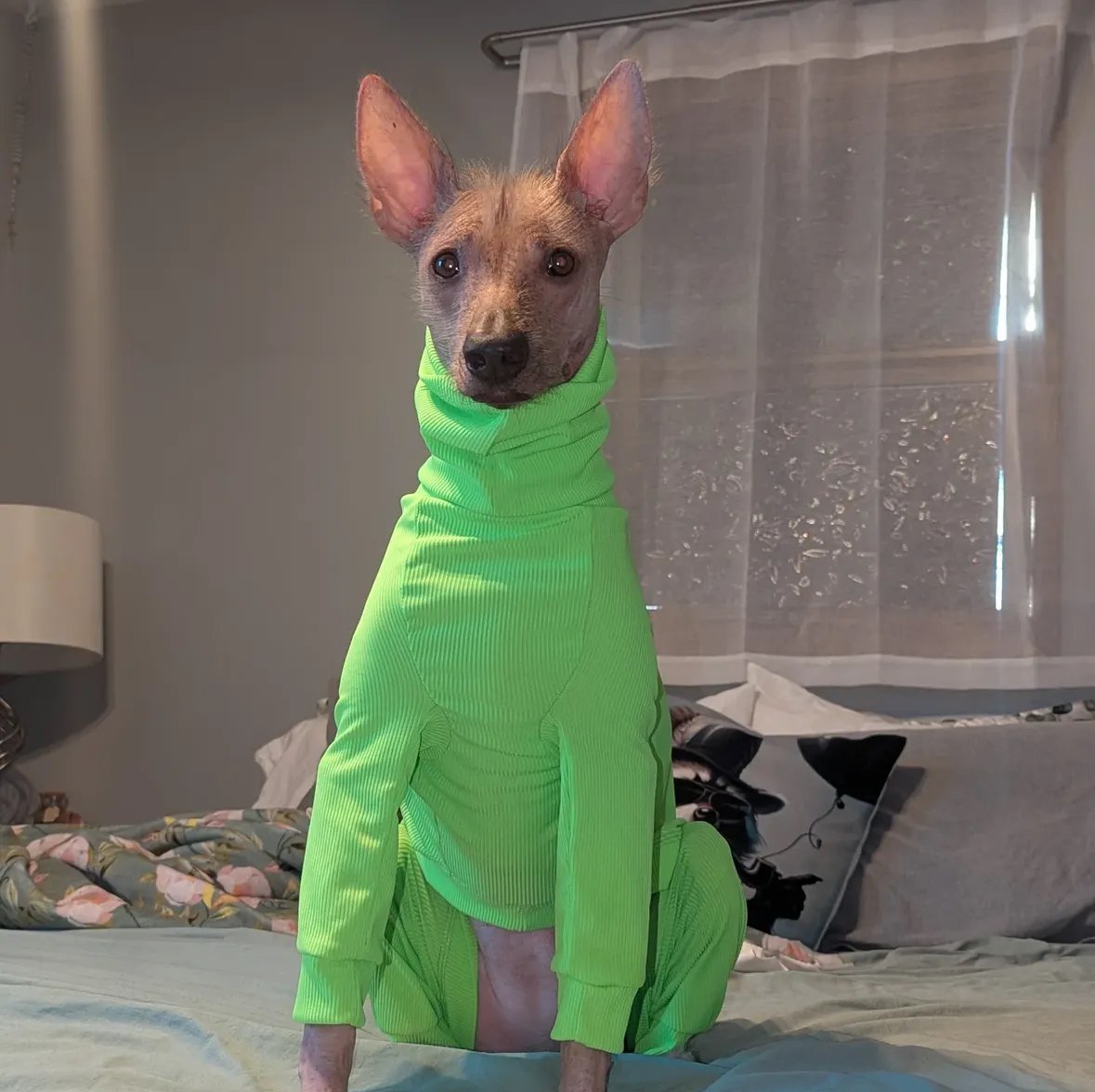 Ribbed Jersey - Hi-Visibility Yellow