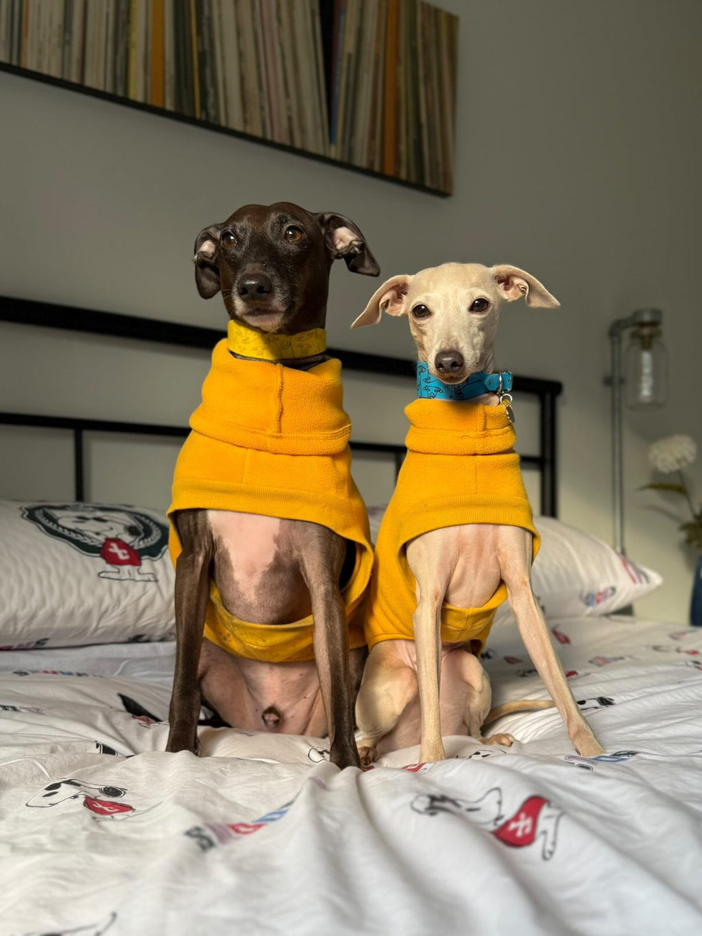 Open-Leg Fleece Vest - Black & Aqua