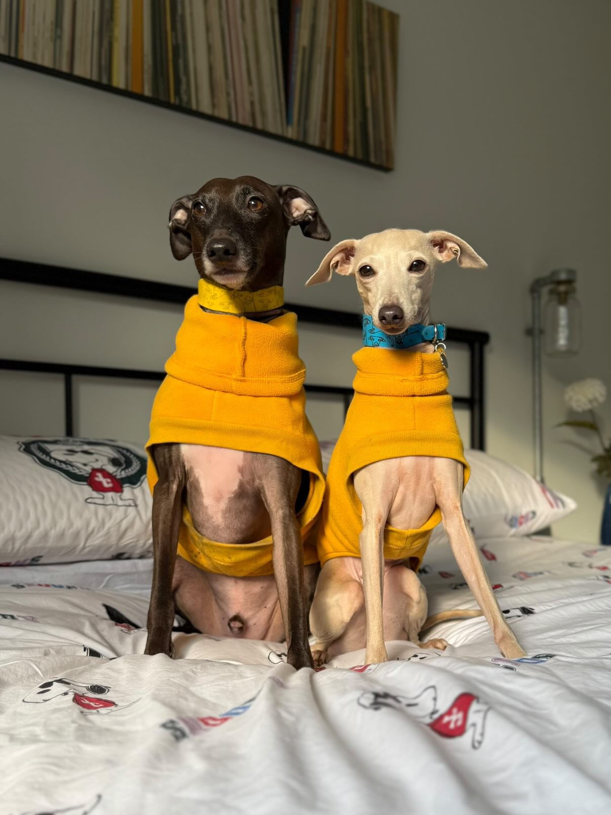 Open-Leg Fleece Vest - Black & Aqua