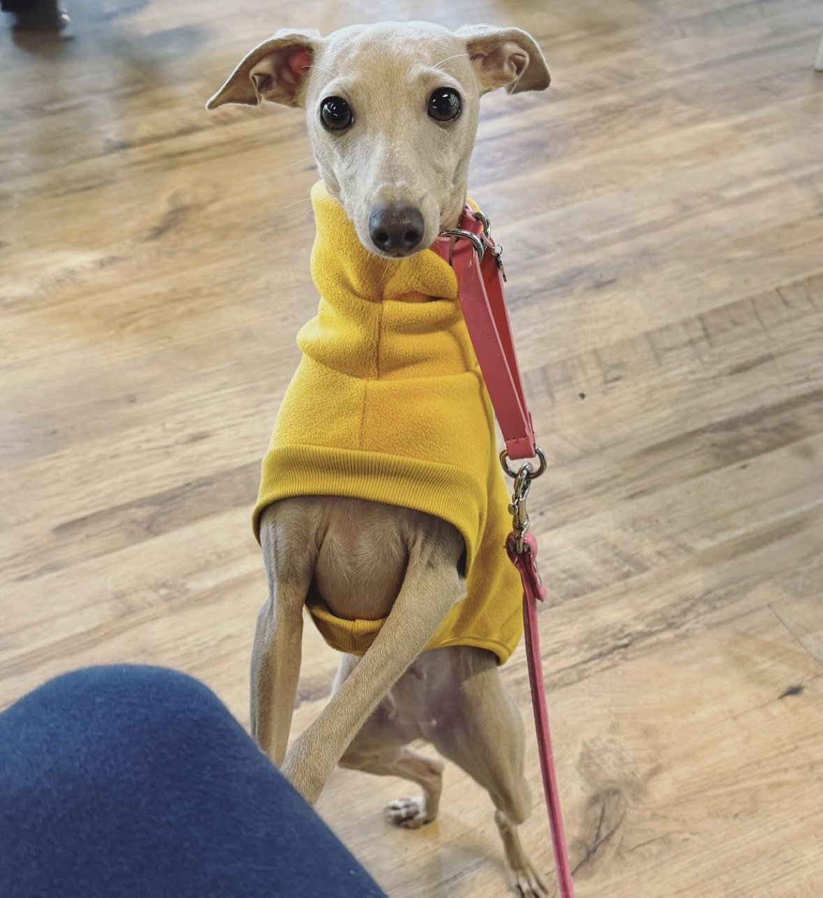 Open-Leg Fleece Vest - Coral