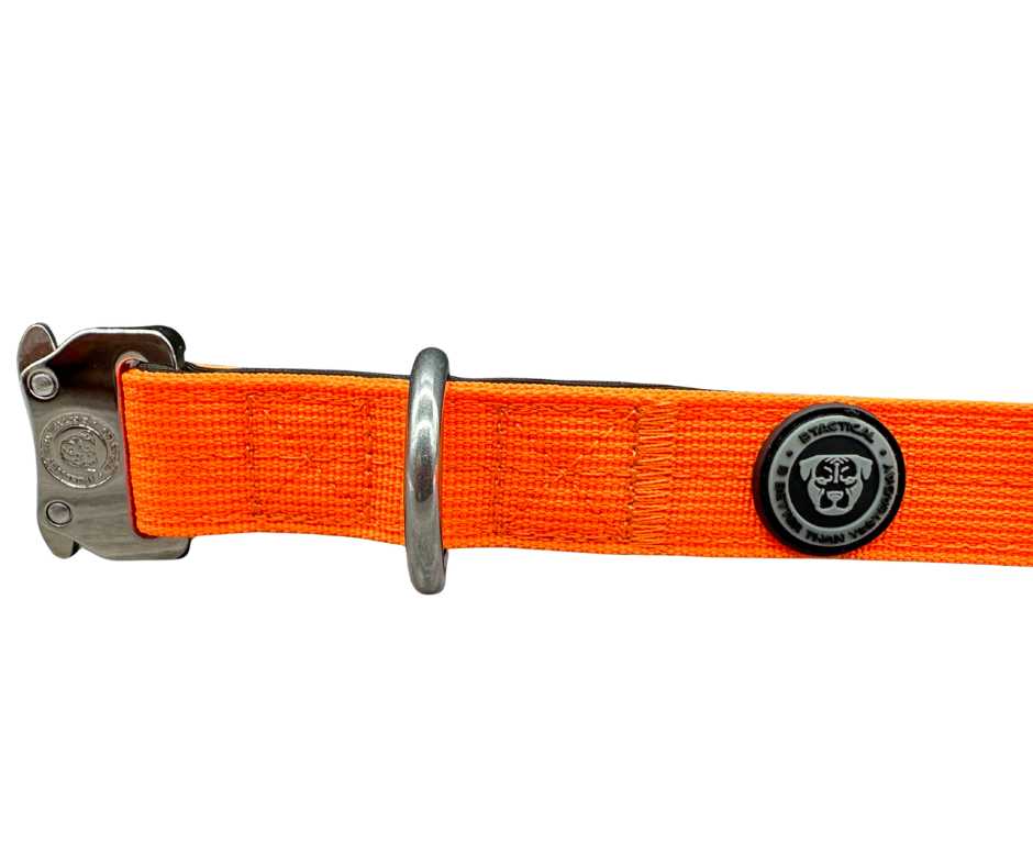 2.5cm Nylon BTactical™ Collar | Citrus Orange