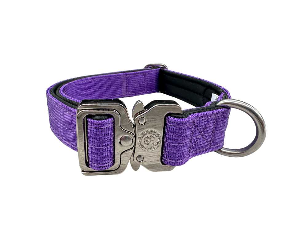 2.5cm Nylon BTactical™ Collar | Lavender Purple