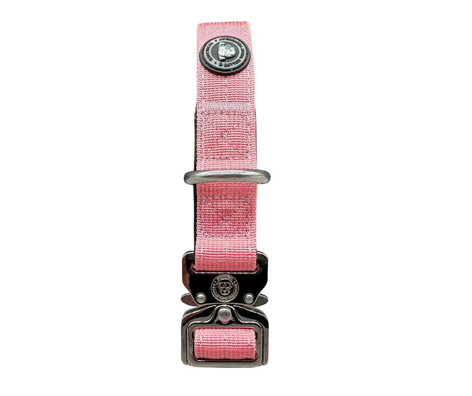 2.5cm Nylon BTactical™ Collar | Pretty Pink