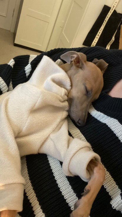 Fleece Lined Sweatshirt Suit - Stone