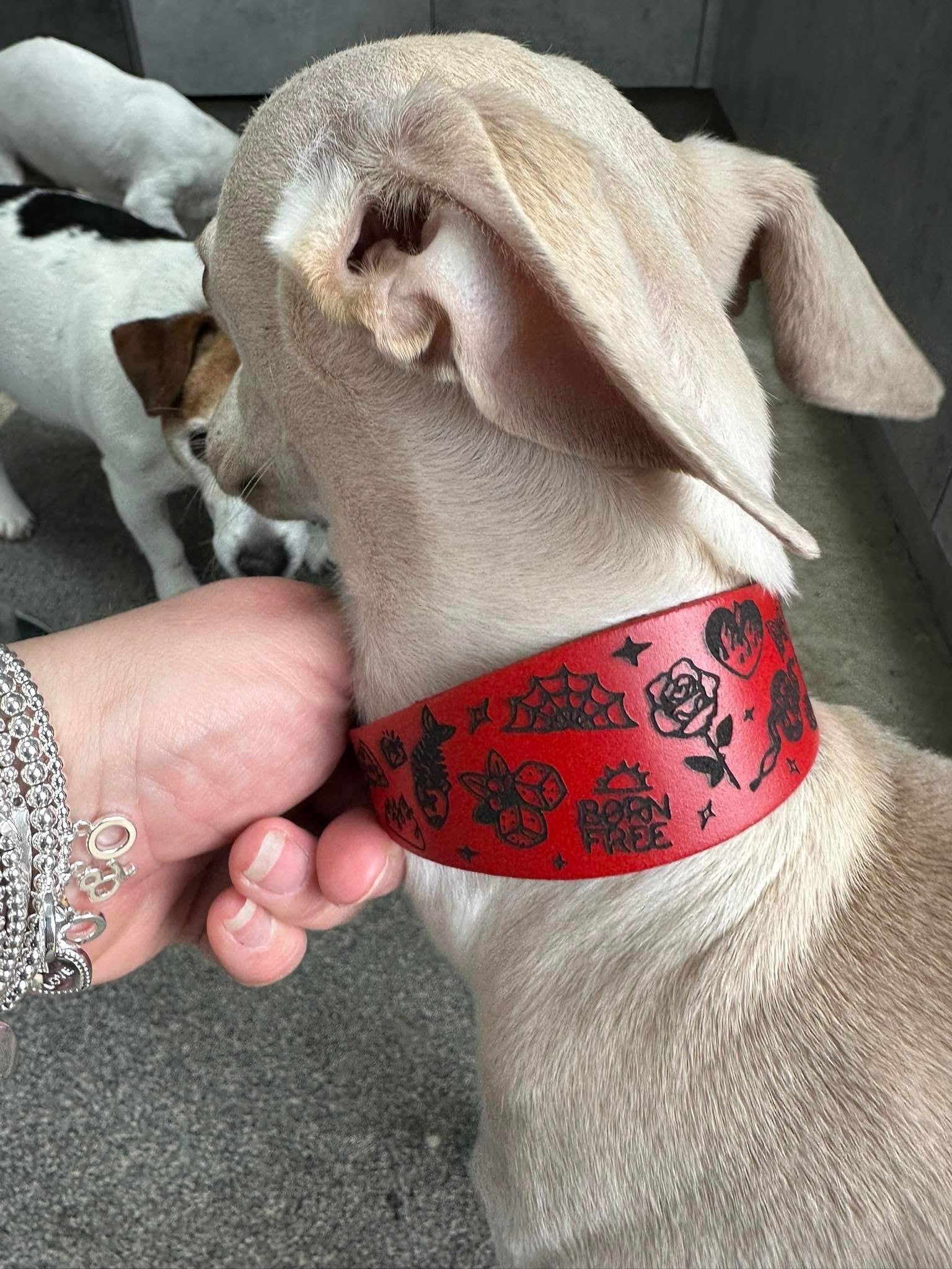 Leather Collar - Tattoo Flash