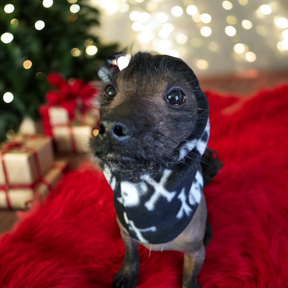 Snoods (Various) - Fleece & Sweatshirt