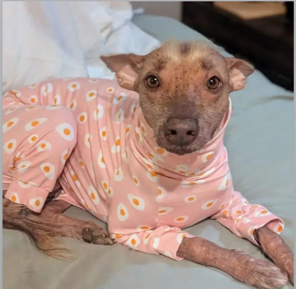 Dog wearing pink pajamas with white and yellow polka dots on a light-colored surface.