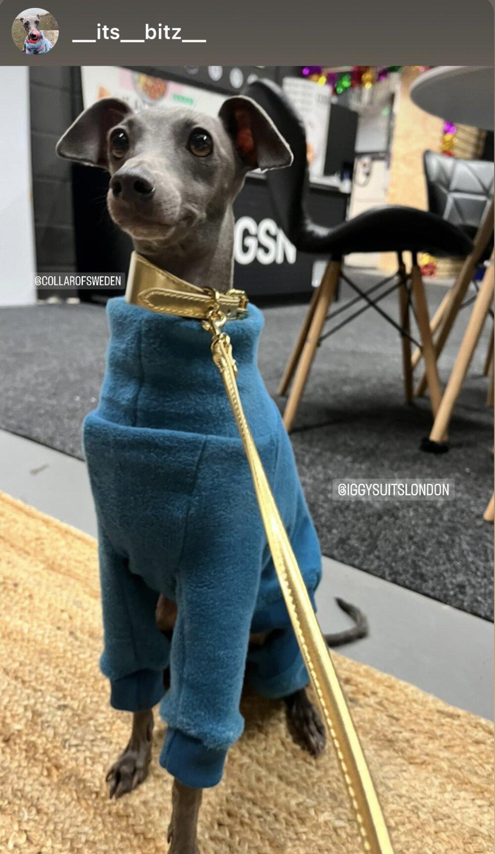 Fleece Lined Sweatshirt - Honey Yellow