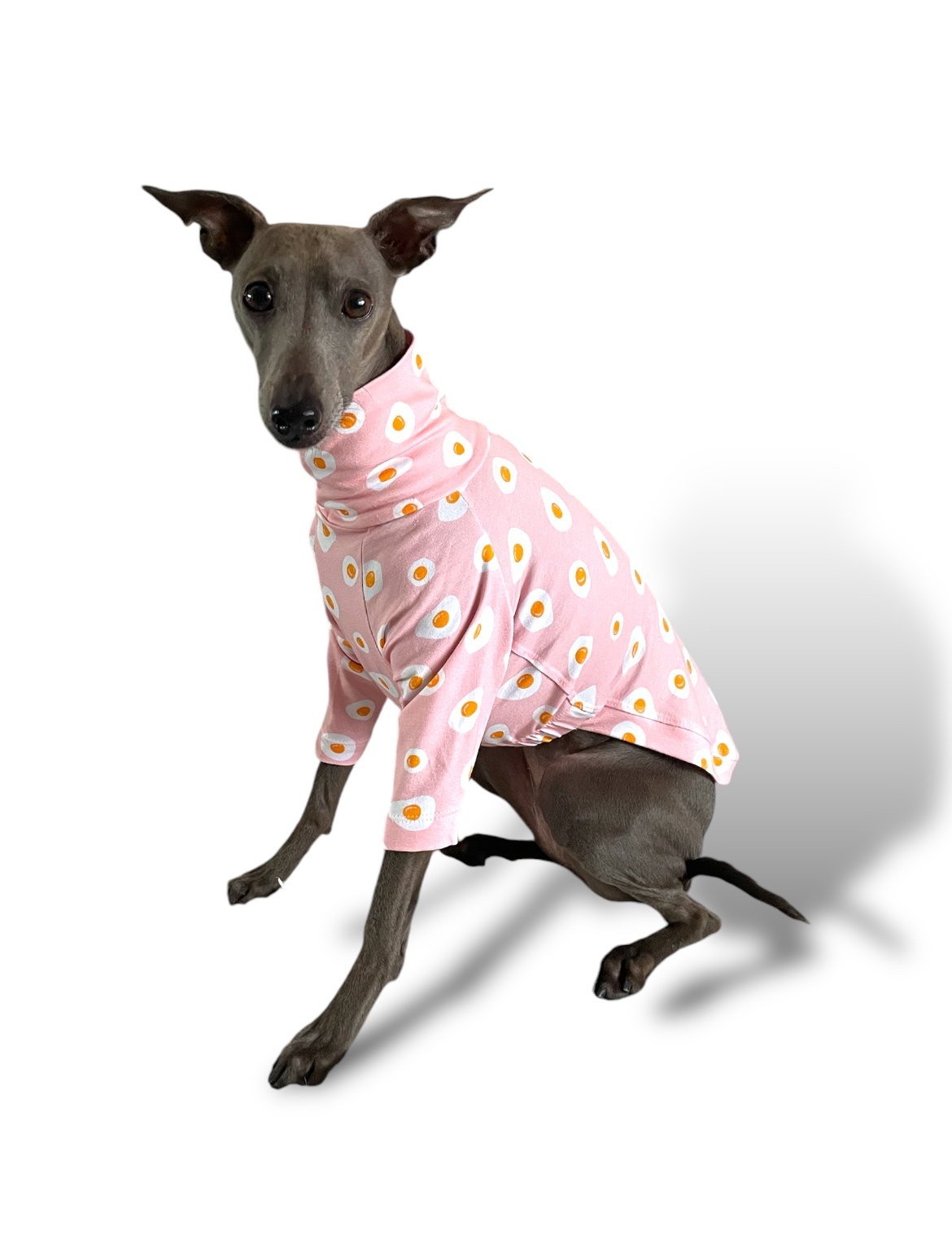 Dog wearing a pink polka dot outfit on a white background