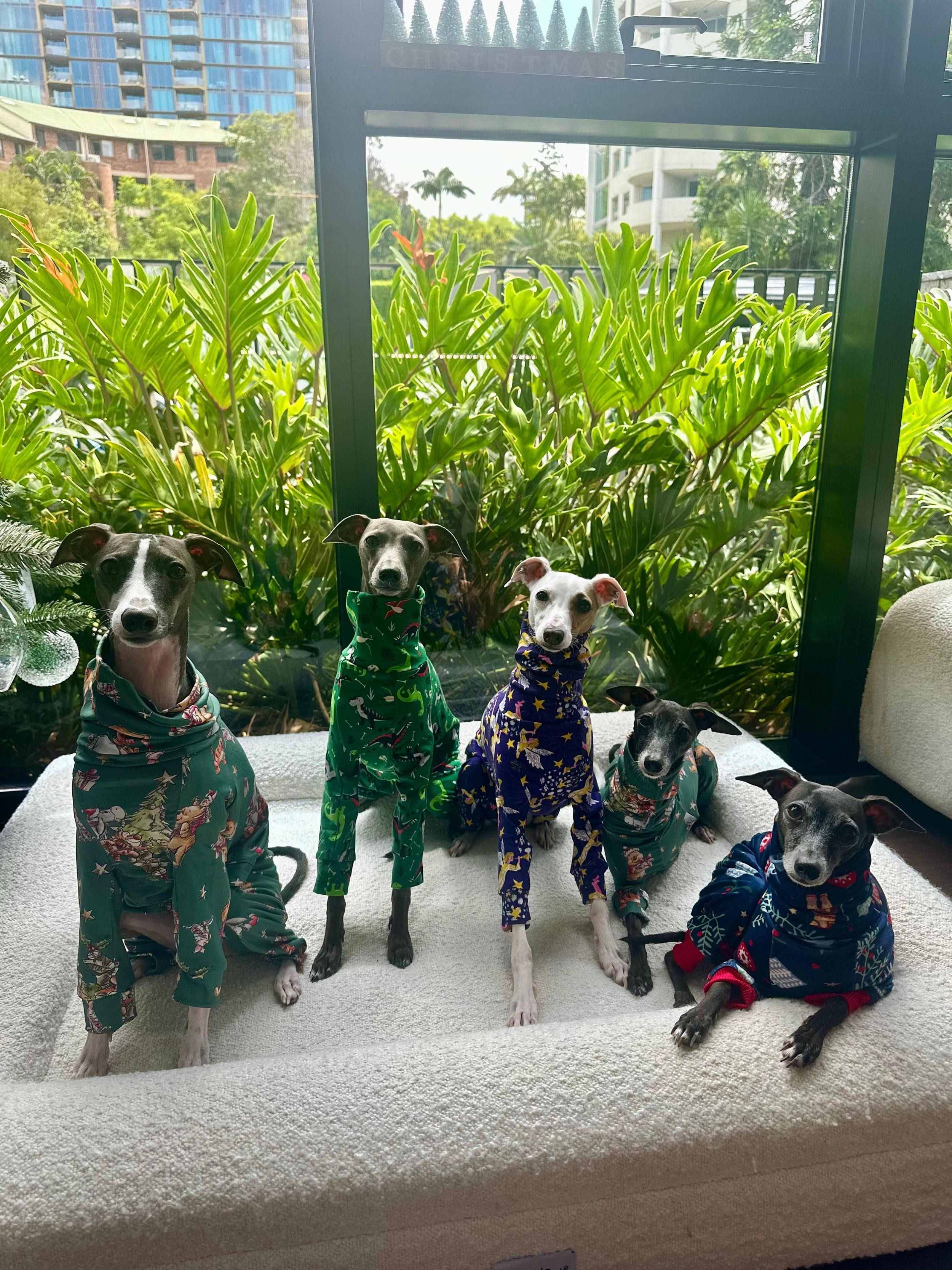 Christmas Jersey Suit - Divine Angels