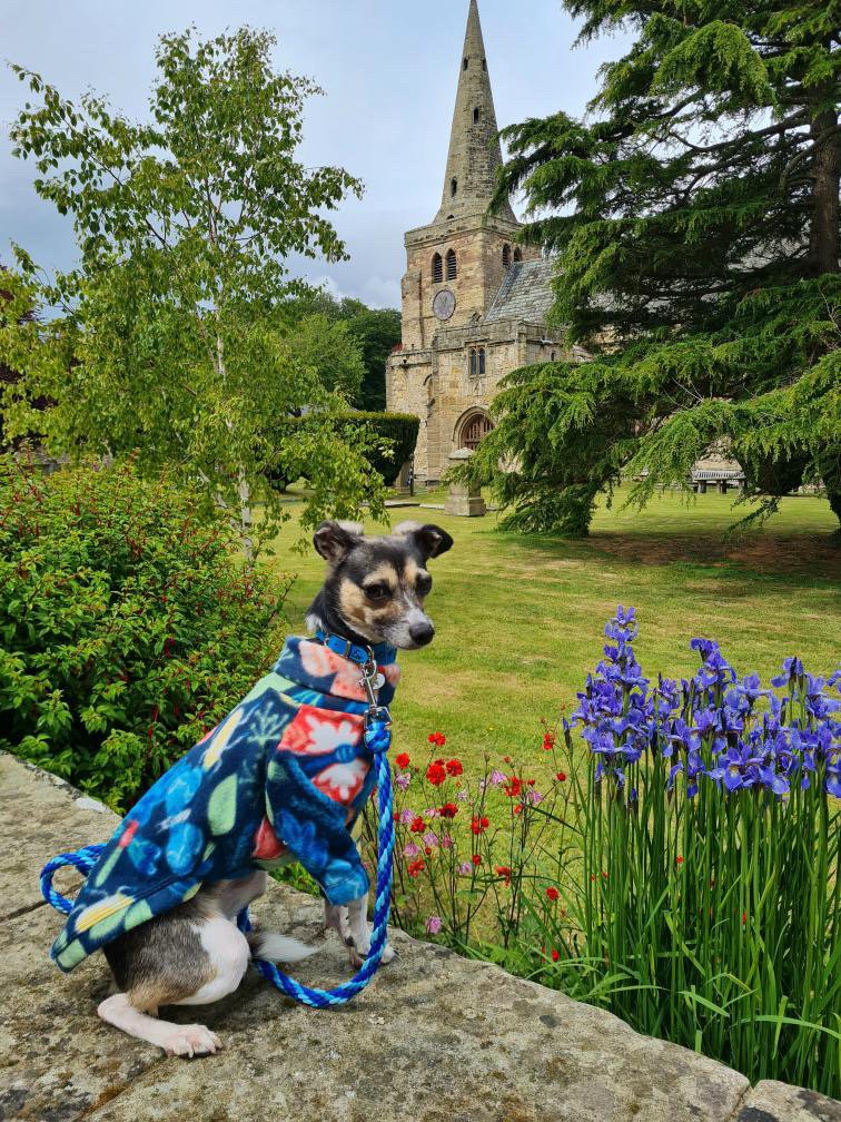 Fleece Jumper - Butterflys