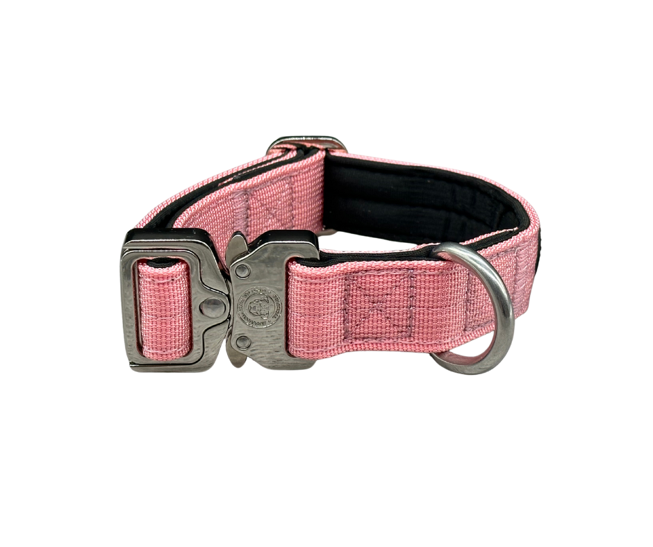 Puppy Nylon BTactical™ Collar | Pretty Pink