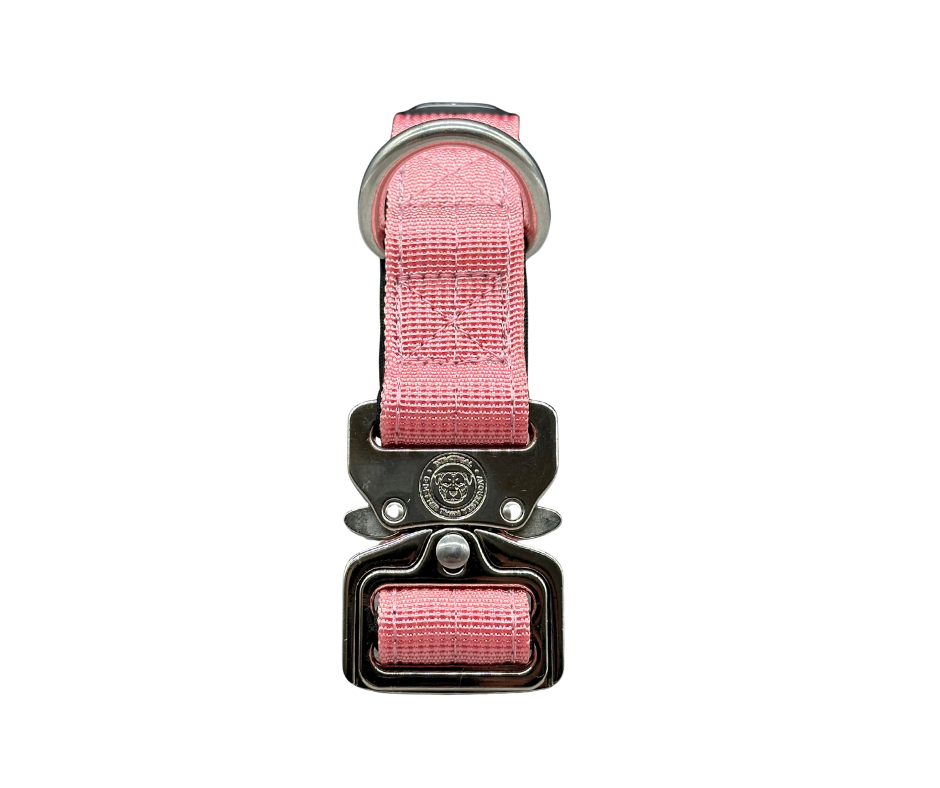 Puppy Nylon BTactical™ Collar | Pretty Pink
