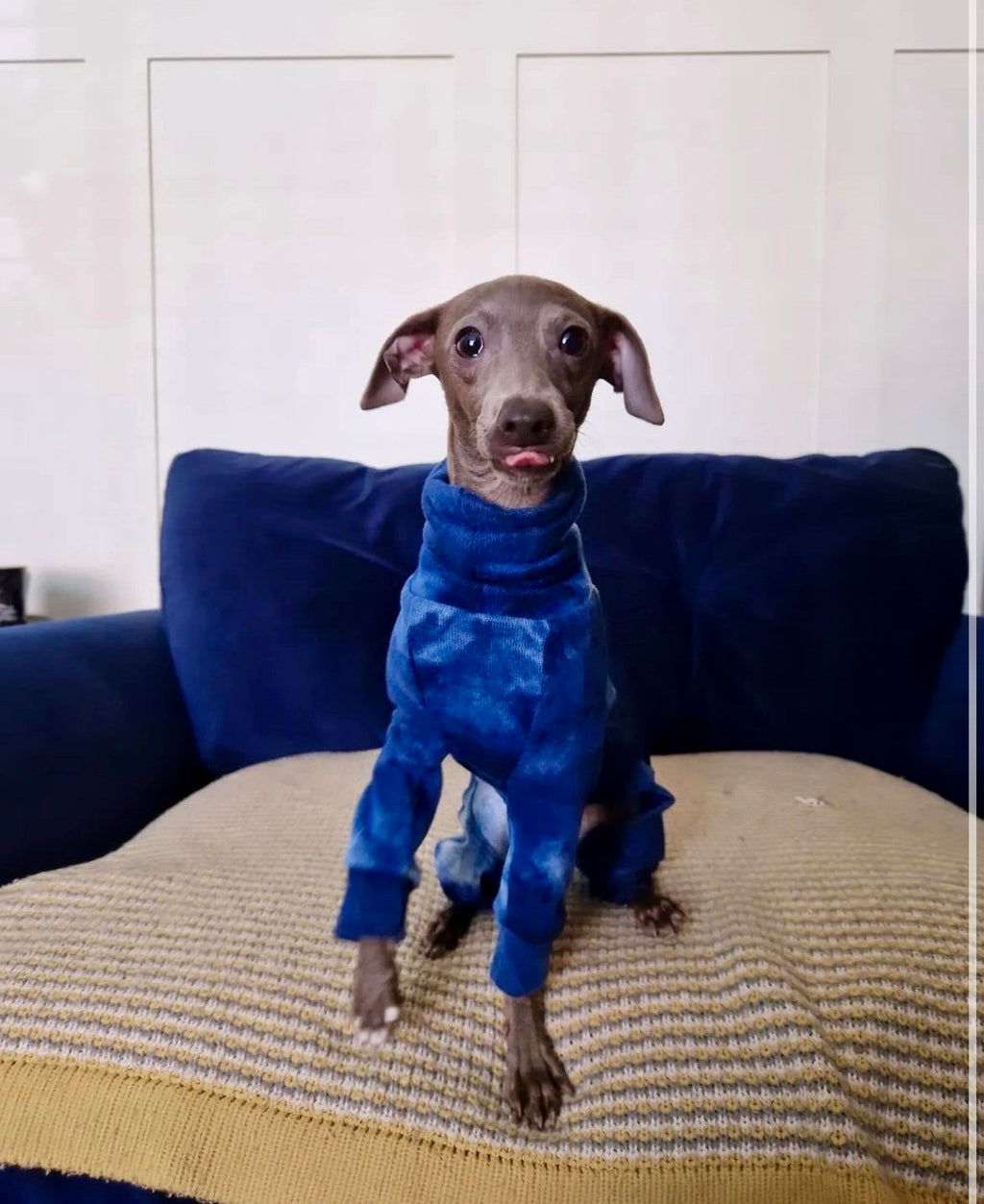 Blue Tie Dye Woolly Jersey