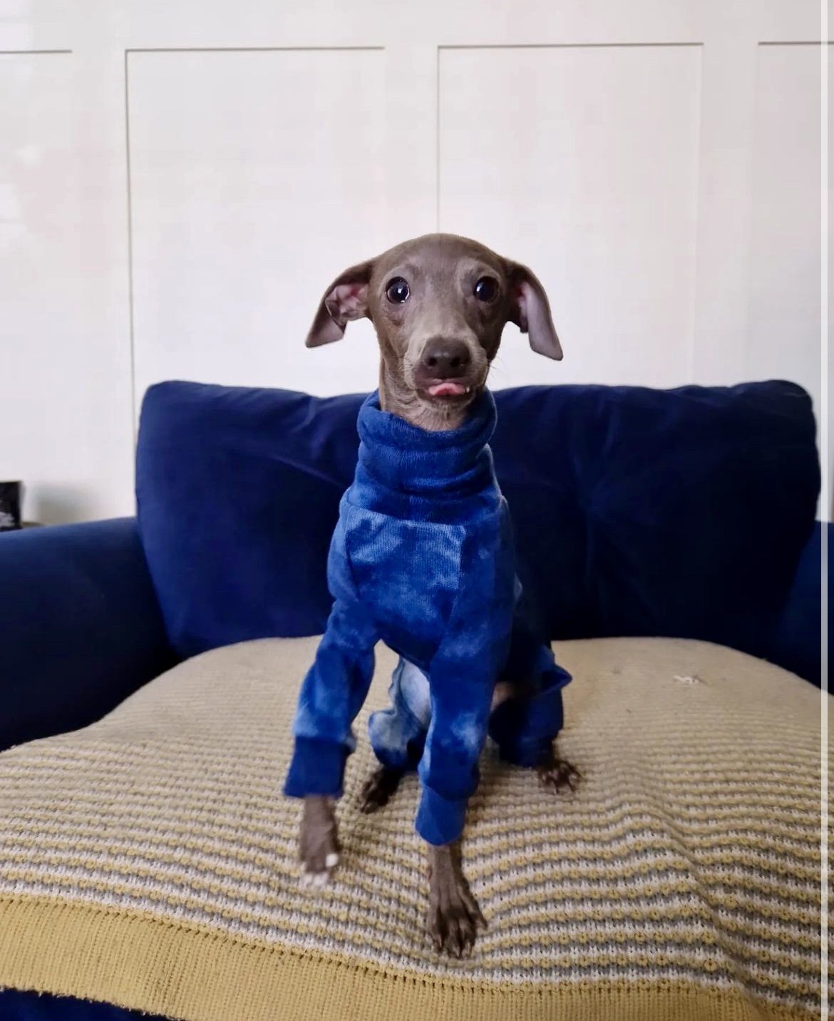 Blue Tie Dye Woolly Jersey