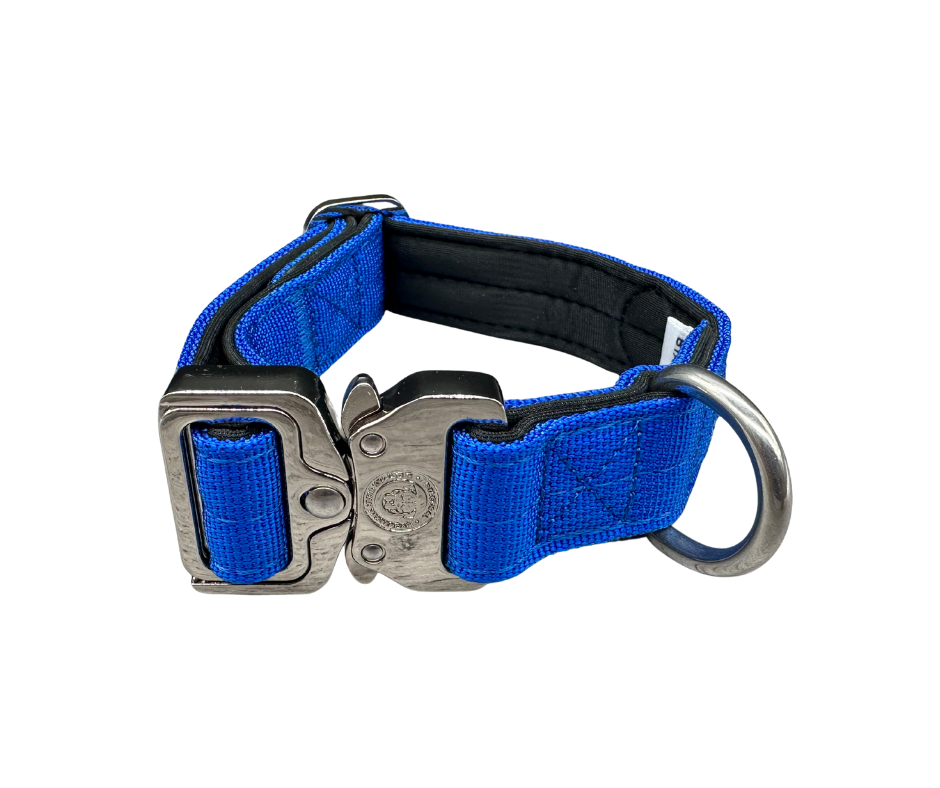 Puppy Nylon BTactical™ Collar | Royal Blue