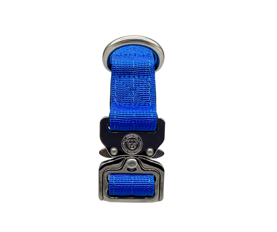 Puppy Nylon BTactical™ Collar | Royal Blue