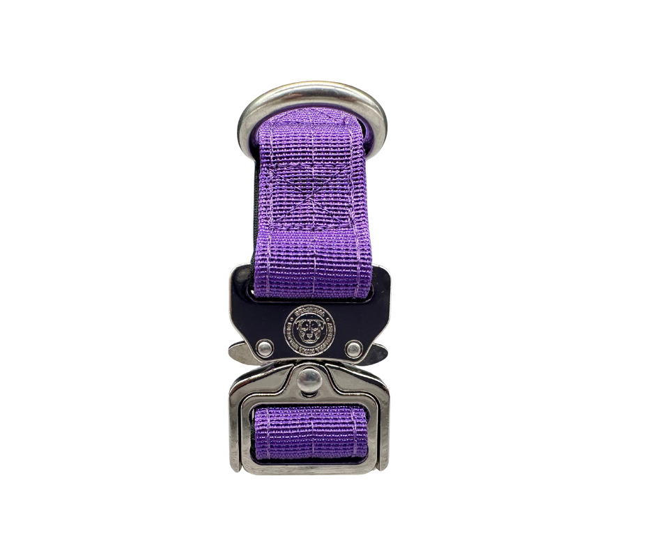 Puppy Nylon BTactical™ Collar | Lavender Purple