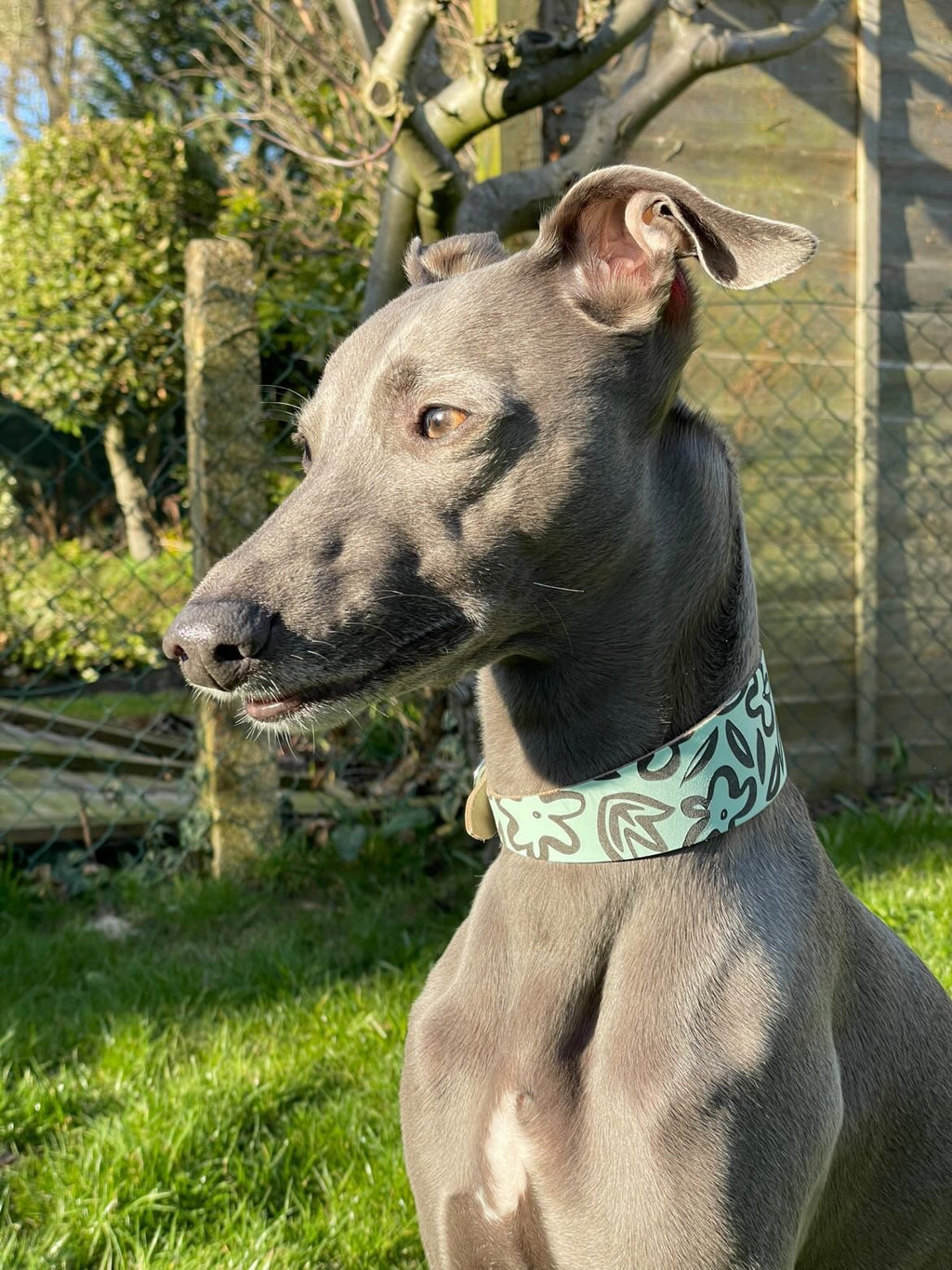 Leather Collar - Botanical