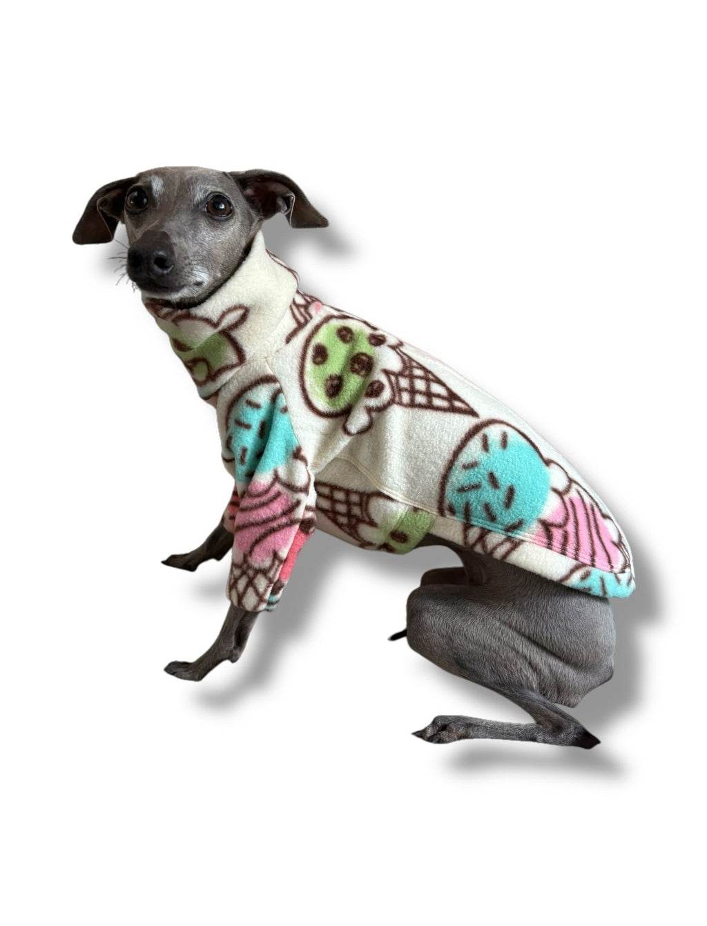Dog wearing a colorful patterned sweater on a white background