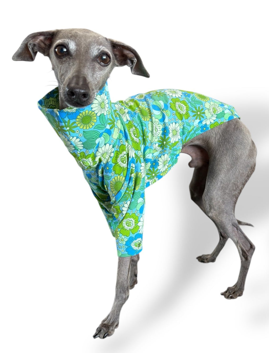 Jersey T-Shirt- Retro Floral - Green