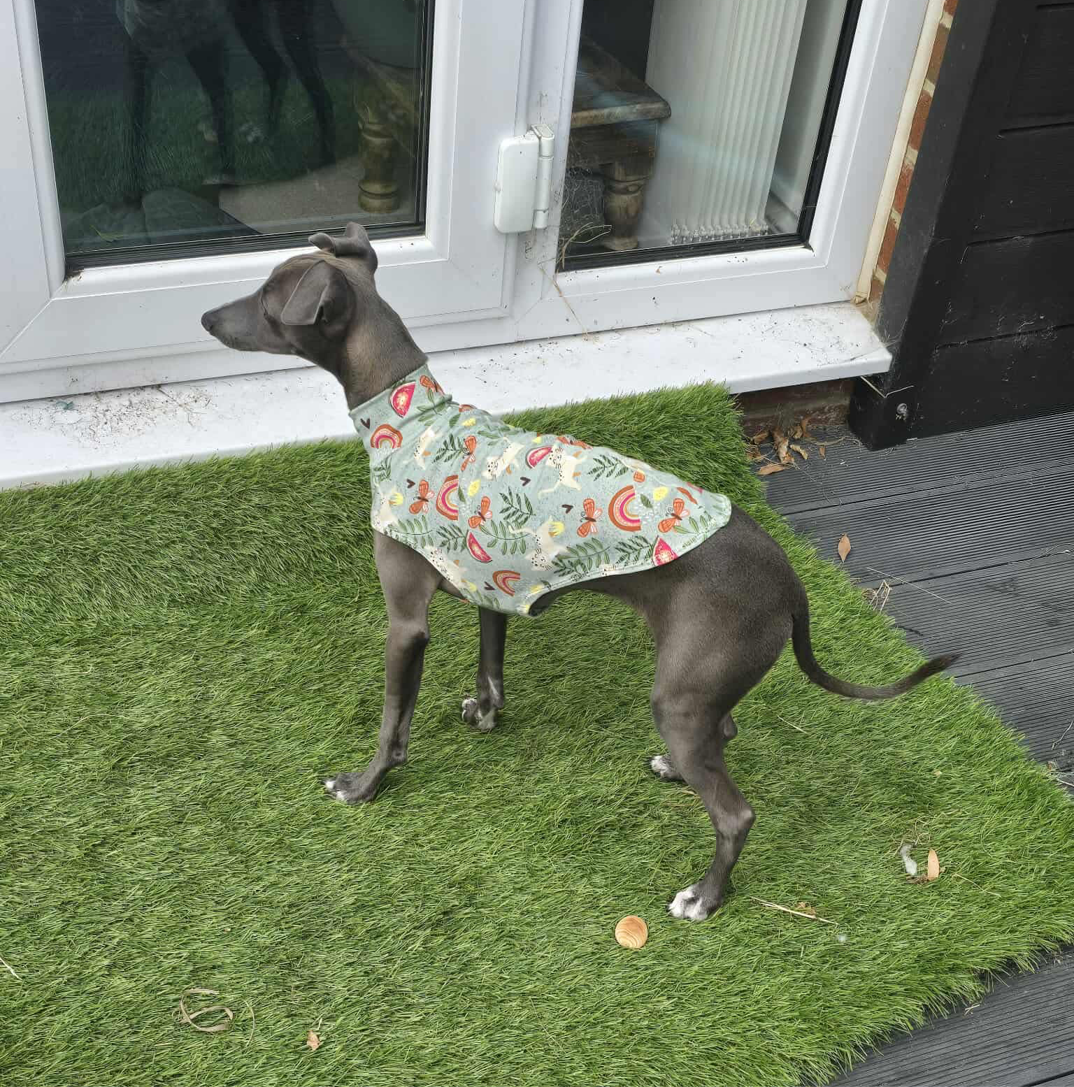 Jersey Vest - Sage Kitties