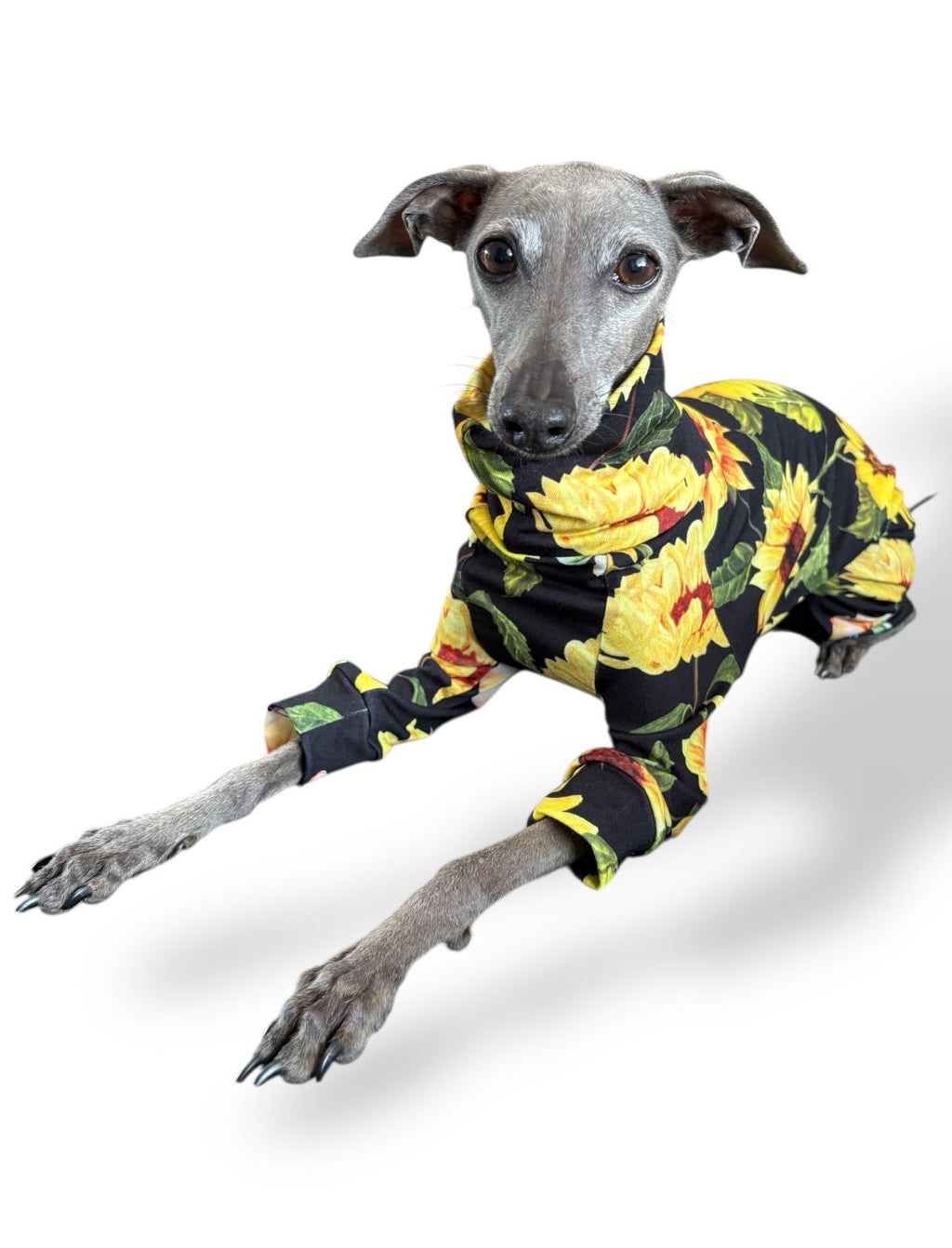 Jersey Suit - Sunflowers