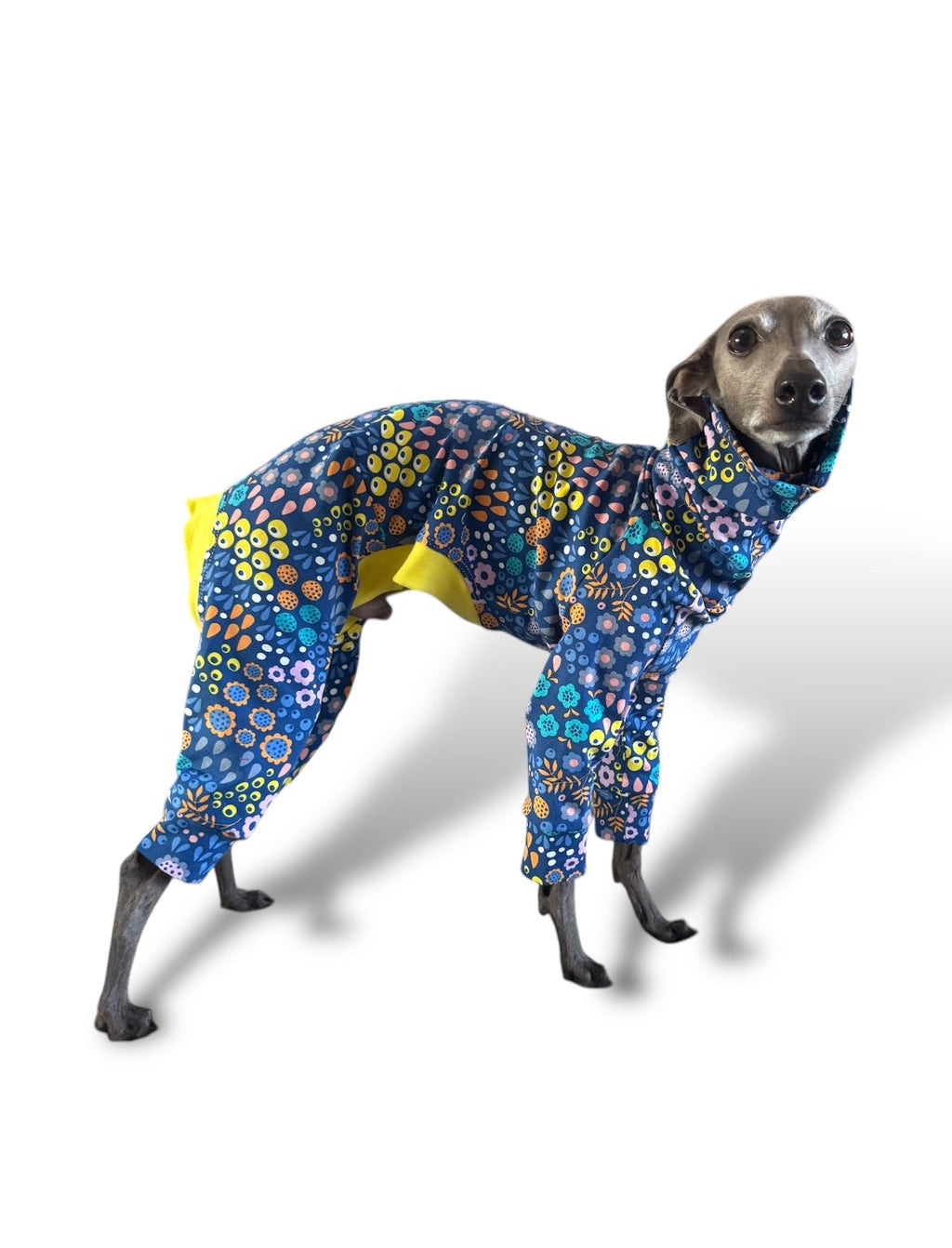 Jersey Suit - Bright Florals