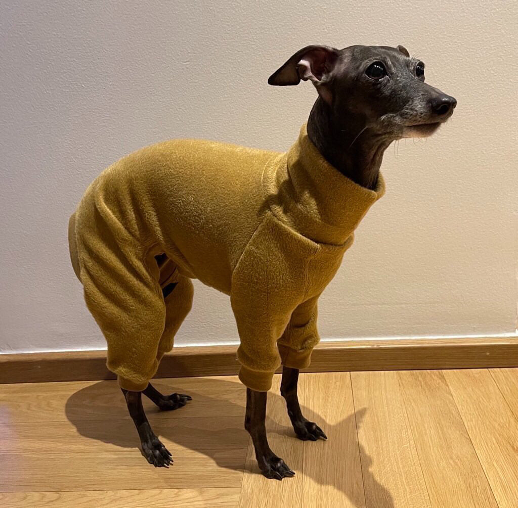 Fleece Lined Sweatshirt - Honey Yellow