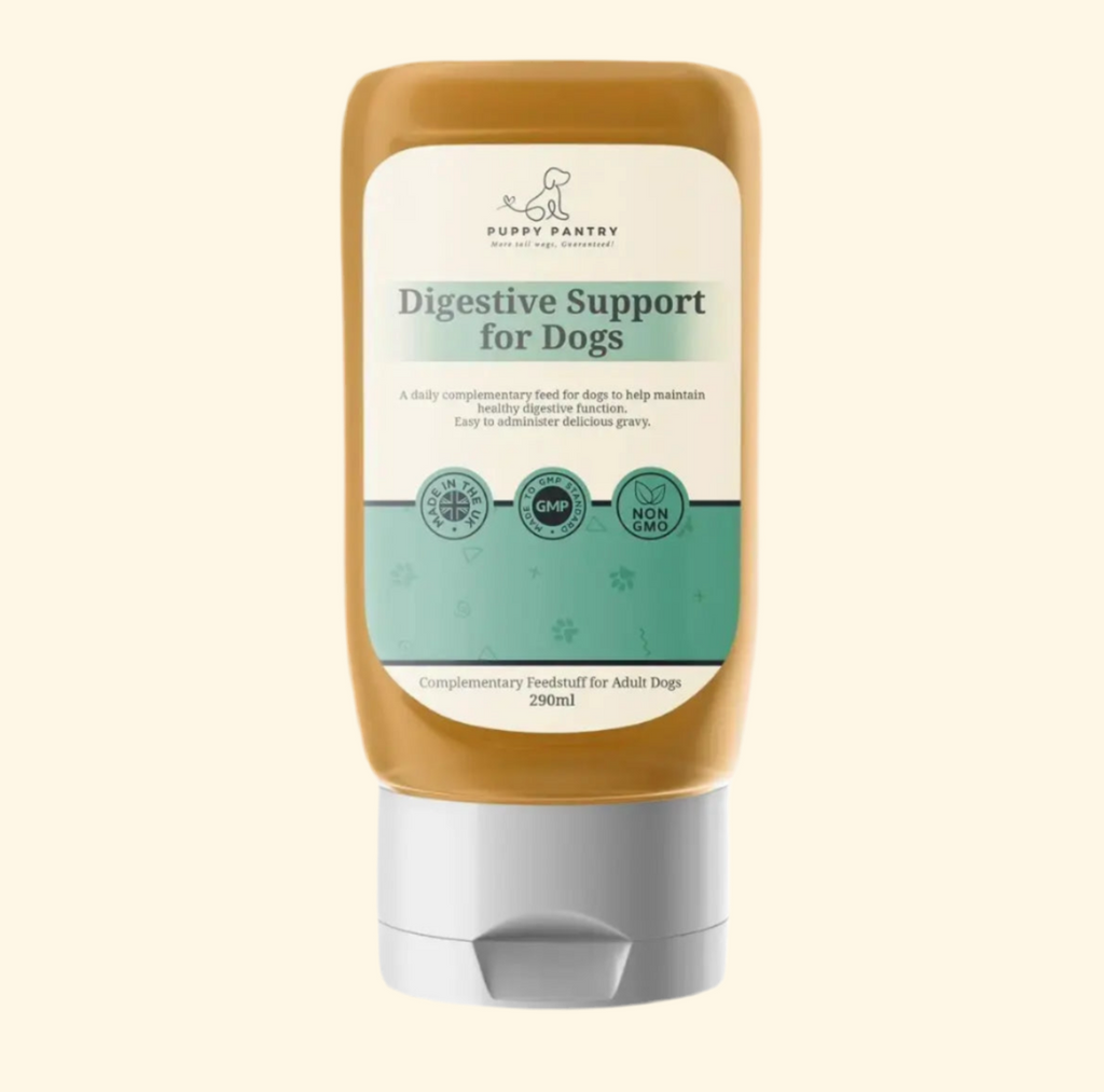 Probiotic Digestive Gravy – Beef for Dogs (290ml)