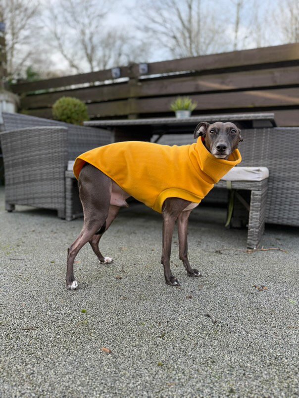 Open-Leg Fleece Vest - Coral