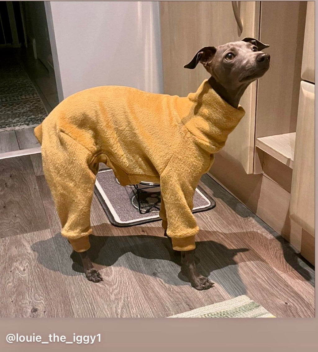 Fleece Lined Sweatshirt - Honey Yellow