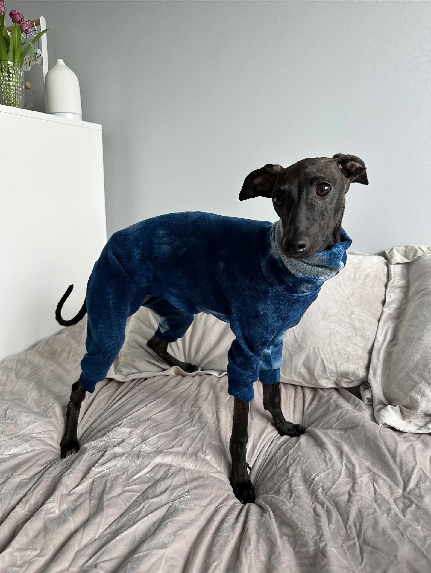 Blue Tie Dye Woolly Jersey