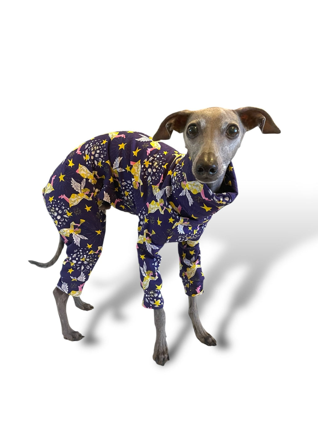 Dog wearing a purple pajama set with star and butterfly patterns on a white background